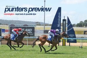 Mornington betting tips