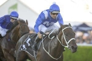 Winx and jockey Hugh Bowman