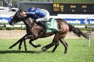 Badajoz favourite for Ramornie Handicap