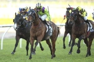 Pelethronius extends winning campaign