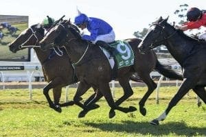 Cummings to embrace Godolphin challenge