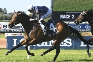 Insensata wins again at Rosehill