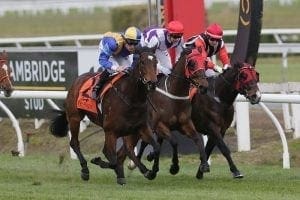 Forsman flags false Ambition after win