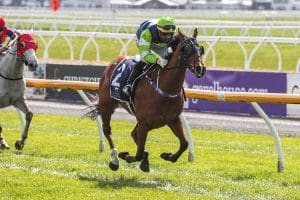 Athene looking to shed bridesmaid tag at Ashburton