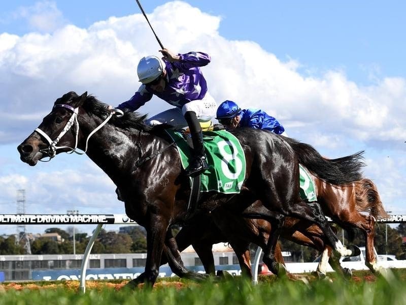 Jockey Hugh Bowman (left) rides Calculated to victory at Canterbury