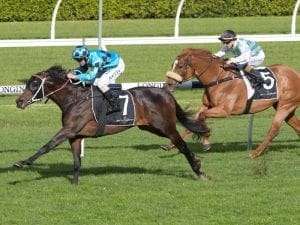 Sesar favourite to win Group 3 Bletchingly