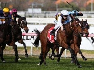 Mantastic gets first win in Australia