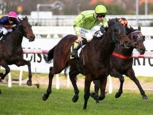 Self Sense kicks off bid for Caulfield Cup