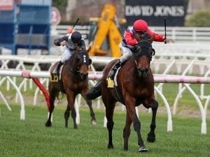 Sopressa bows out in style at Caulfield