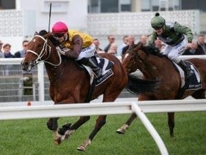 In-form Tavirun wins again at Caulfield