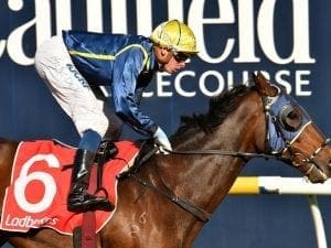 Travimyfriend lands first Australian win