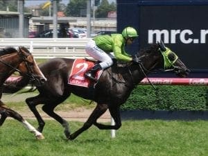 Fitter Tshahitsi ready for Caulfield test