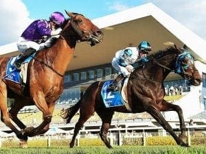 Ruling Dynasty continues Queensland run