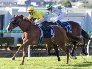 Snitch drops in class for Doomben success