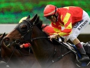 Gold Ambition chasing belated stakes win