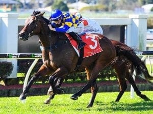 Mixed luck for Kendrick pair at Doomben