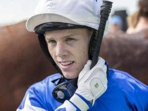 Bayliss brings weight relief to Shogun Sun