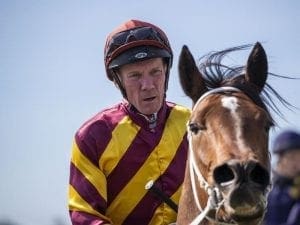 Sydney trip on the cards for Dunn filly