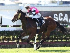 Archer's Paradox too speedy at Doomben