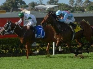 Waller after more winter black-type in Qld