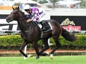 Ef Troop at crossroads in his career