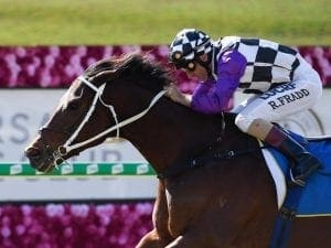 Waller keeps the Brisbane winners coming