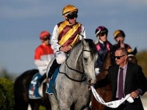 Silvera wins Tatt's Mile, set for Sydney