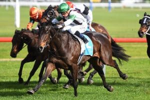 Elemental scores impressive debut win