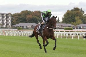 Shaun Phelan hoping duo can improve at Te Rapa