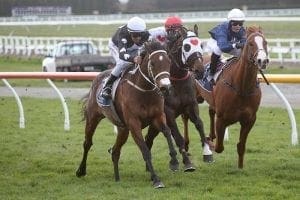 Southern mare in mix for Tarzino star