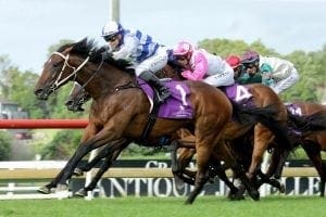 Cup target set for promising Felaar