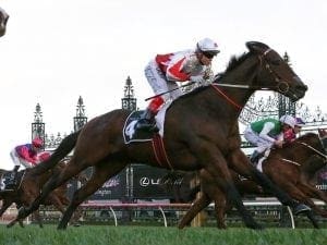 Williams stars with six wins at Flemington