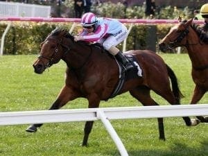 Four winners for Damian Lane at Flemington