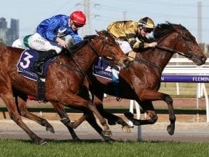 Fabulanski to target Group 1 Victoria Derby