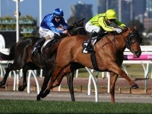 Mr Money Bags chases third Flemington win