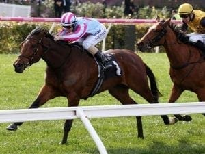 Naantali breaks city duck at Flemington