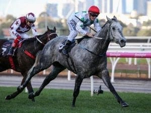 Back in form Rocket after Flemington win