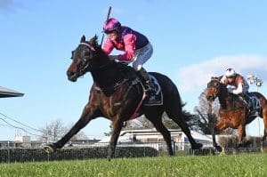 Trainer playing patient stakes game with mare