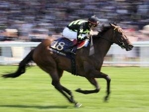 Dual Ascot winner Lady Aurelia retired