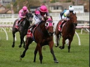 Inn Keeper on target for first stakes test