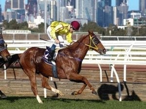 Monash Stakes option for Malibu Style