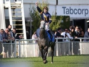 Chautauqua set for Flemington jump-out