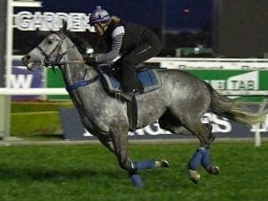 Sydney trial next step for Chautauqua