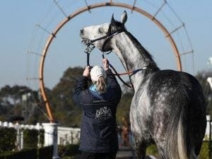 Chautauqua up to his tricks again