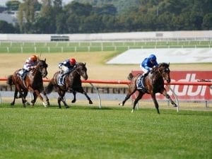 Chenier ruled out of spring carnival