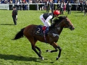 Cracksman declared for King George