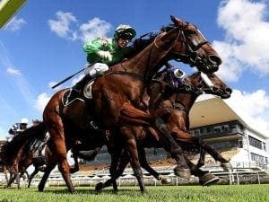 First Crush set for Grafton Cup