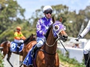 Fiesta to step up to Princess Series