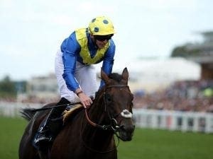 Poet's Word wins King George for Stoute