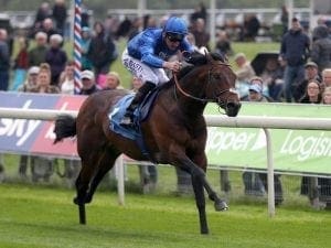 Harry Angel recovering from Ascot injury